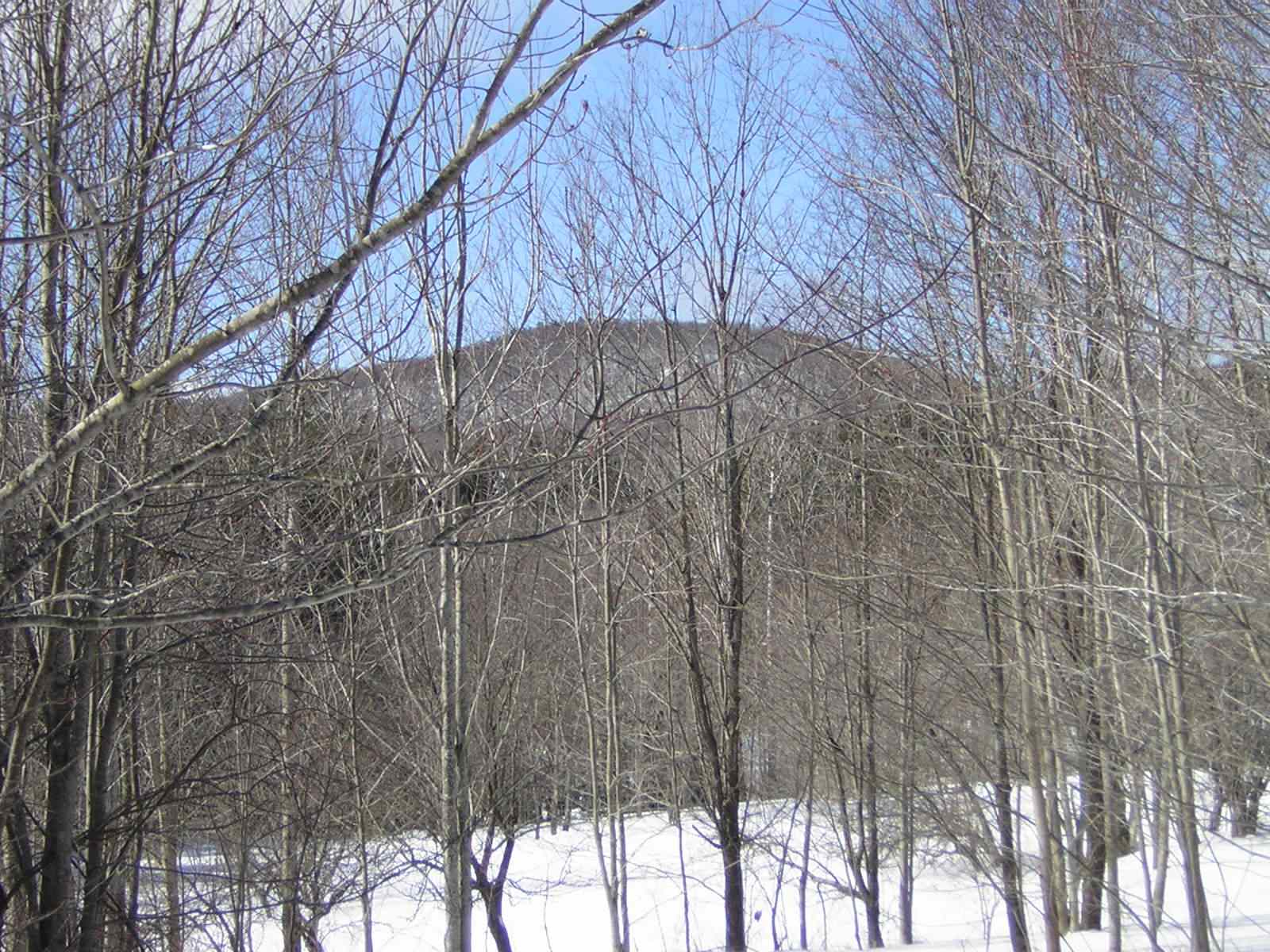 0 Sterling Valley Road Morristown, VT 05661 - Photo 27 of 40 Gallery Image 27