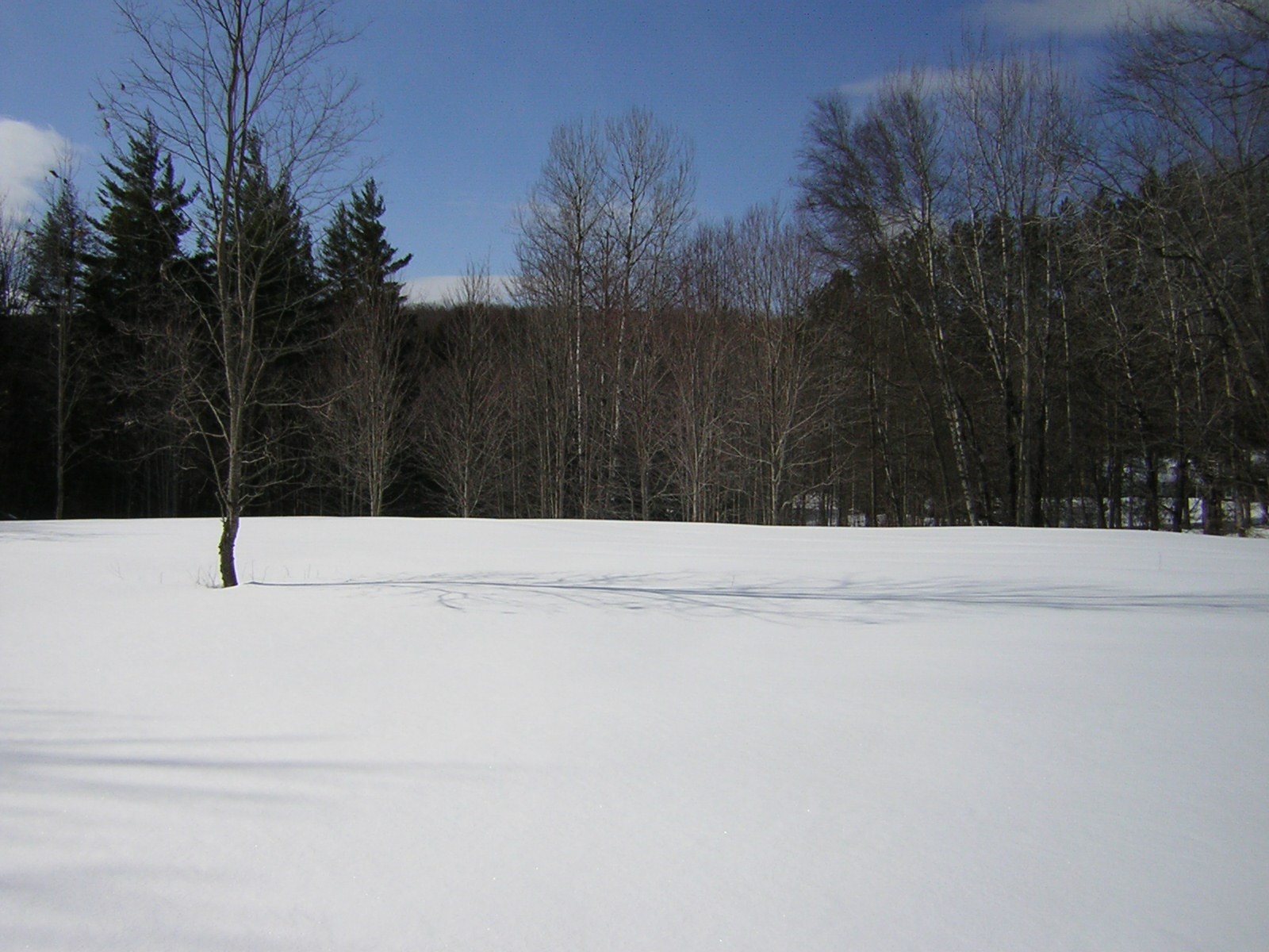 0 Sterling Valley Road Morristown, VT 05661 - Photo 4 of 40 Gallery Image 4