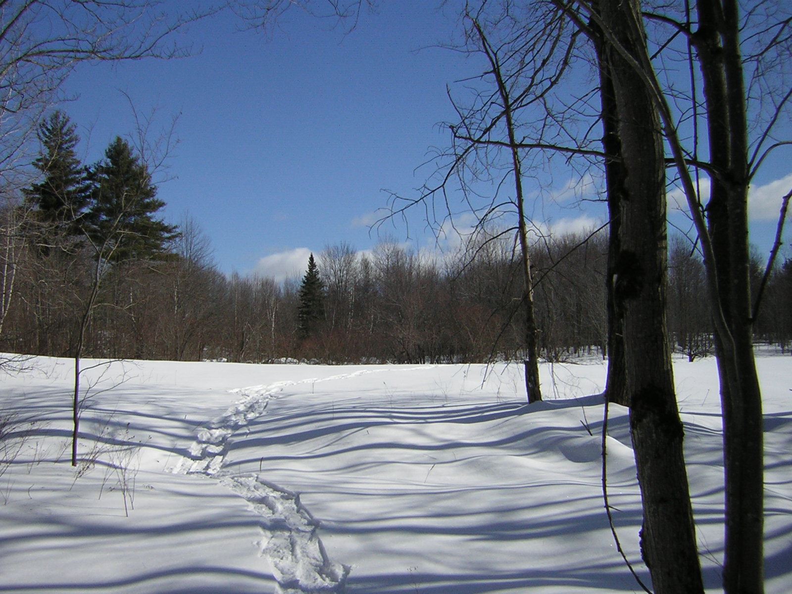 0 Sterling Valley Road Morristown, VT 05661 - Photo 31 of 40 Gallery Image 31