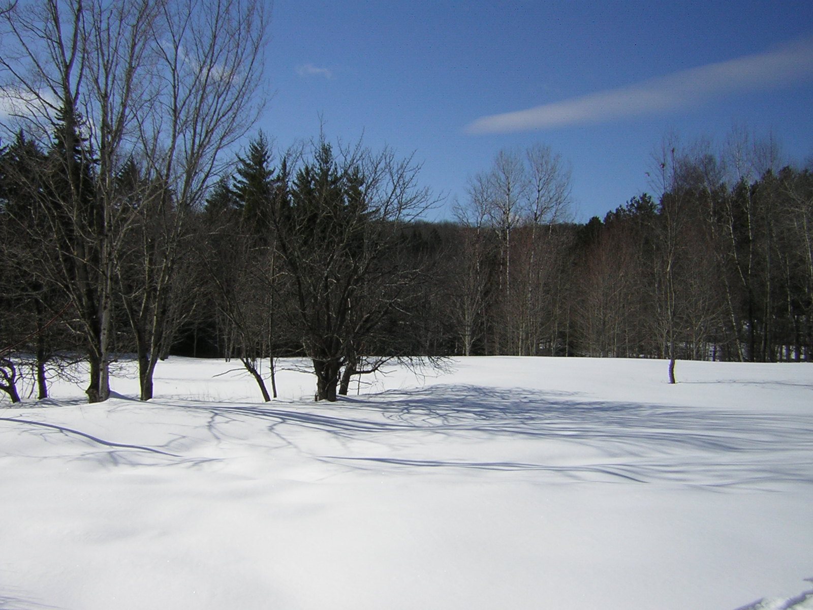 0 Sterling Valley Road Morristown, VT 05661 - Photo 34 of 40 Gallery Image 34