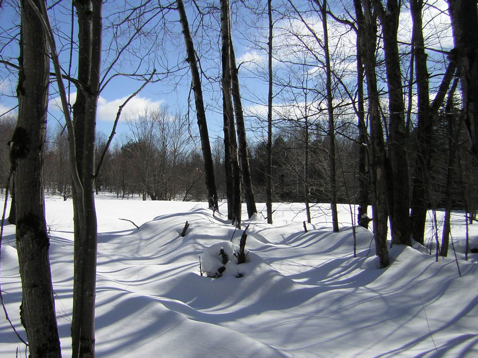 0 Sterling Valley Road Morristown, VT 05661 - Photo 39 of 40 Gallery Image 39