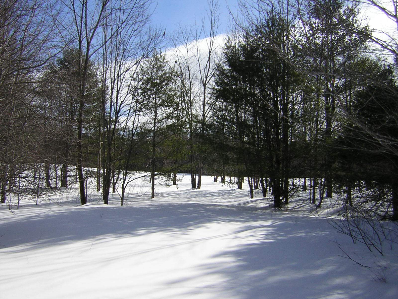 0 Sterling Valley Road Morristown, VT 05661 - Photo 5 of 40 Gallery Image 5