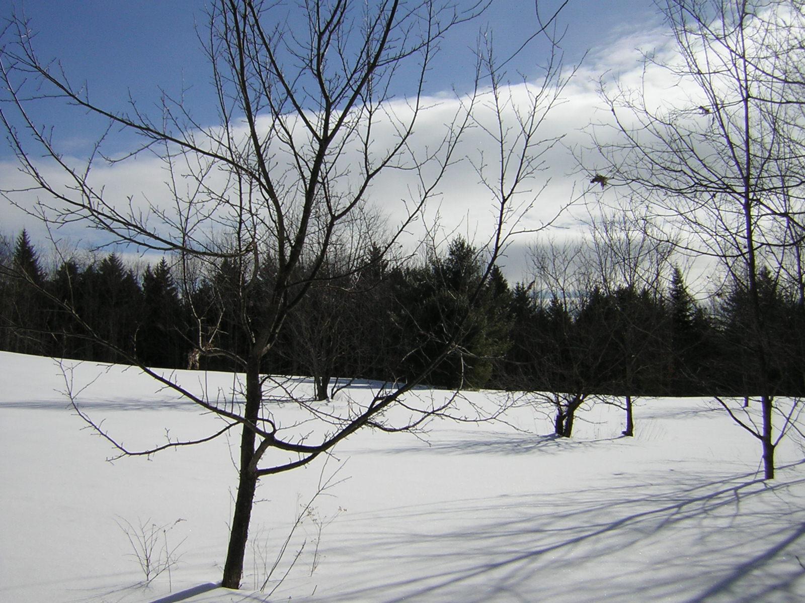0 Sterling Valley Road Morristown, VT 05661 - Photo 7 of 40 Gallery Image 7