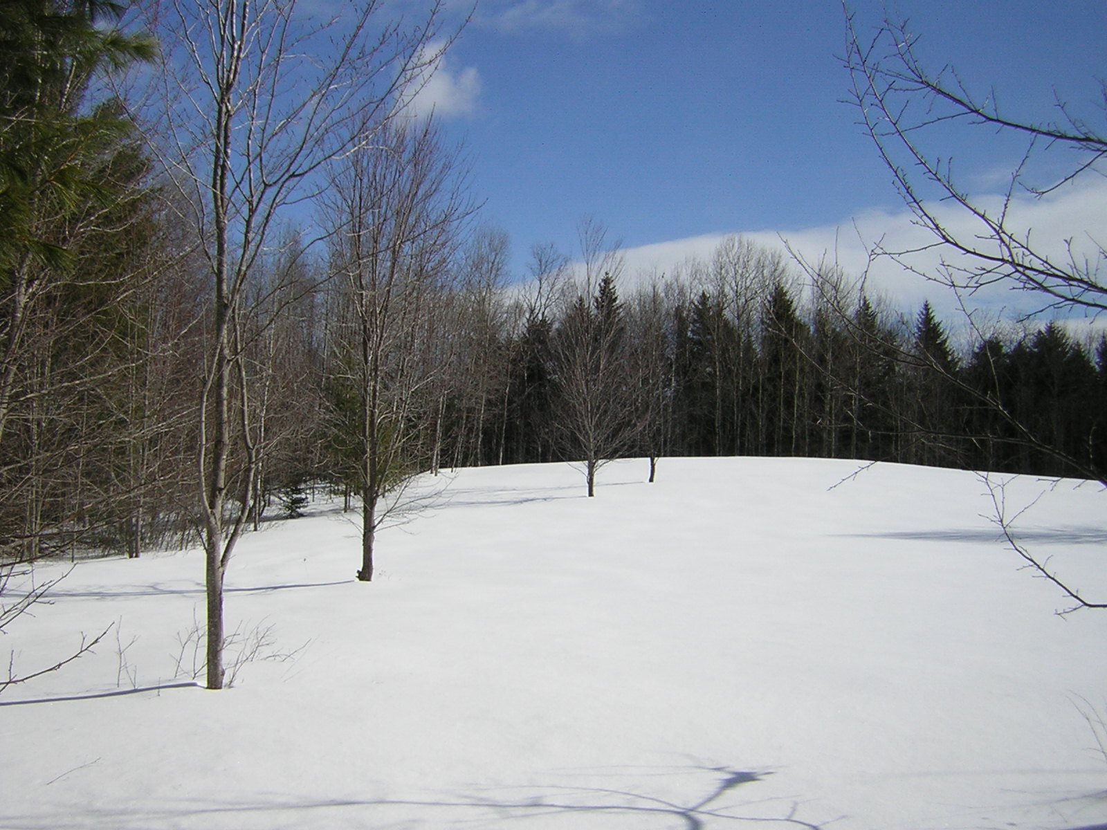 0 Sterling Valley Road Morristown, VT 05661 - Photo 8 of 40 Gallery Image 8