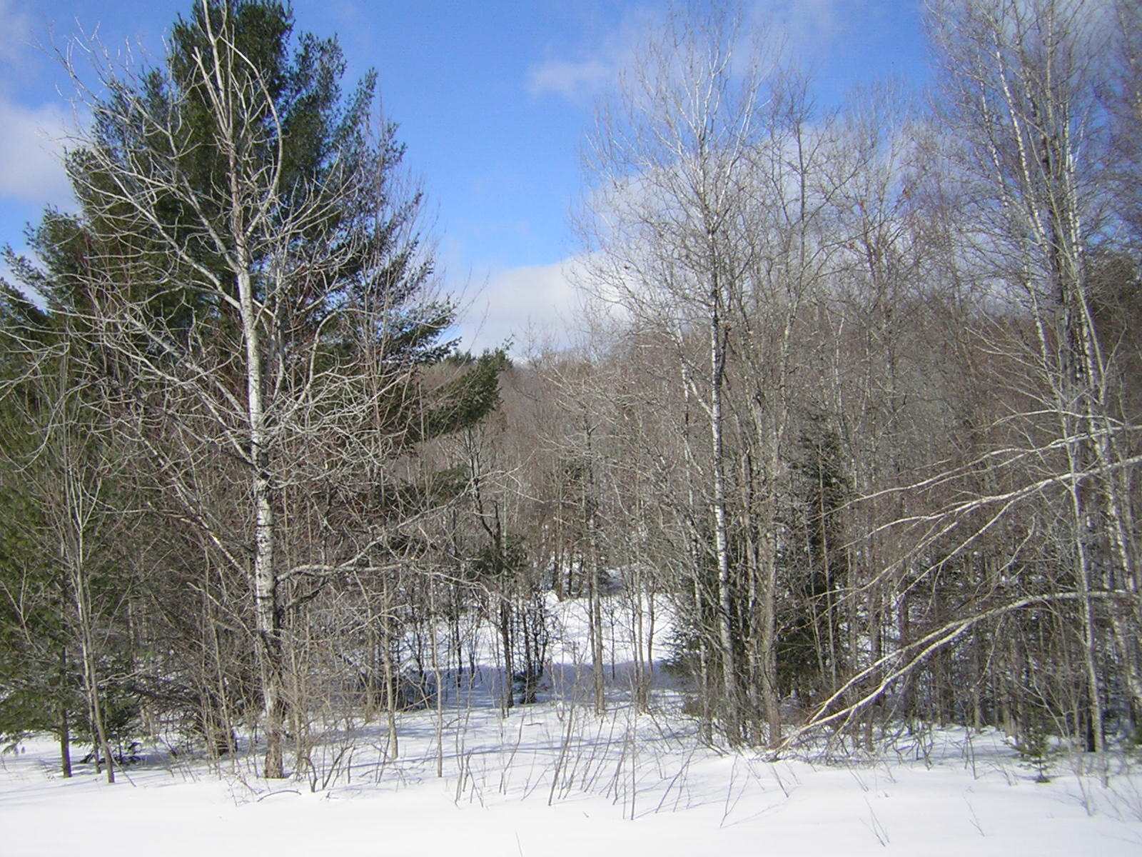 0 Sterling Valley Road Morristown, VT 05661 - Photo 9 of 40 Gallery Image 9
