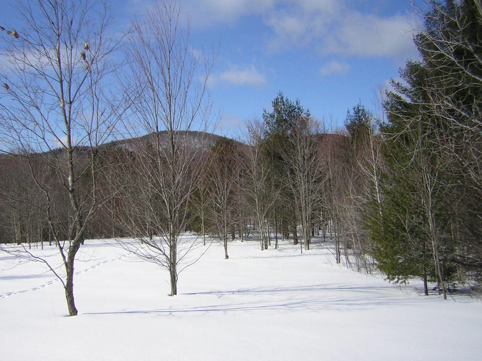 0 Sterling Valley Road Morristown, VT 05661 - Photo 10 of 40 Gallery Image 10