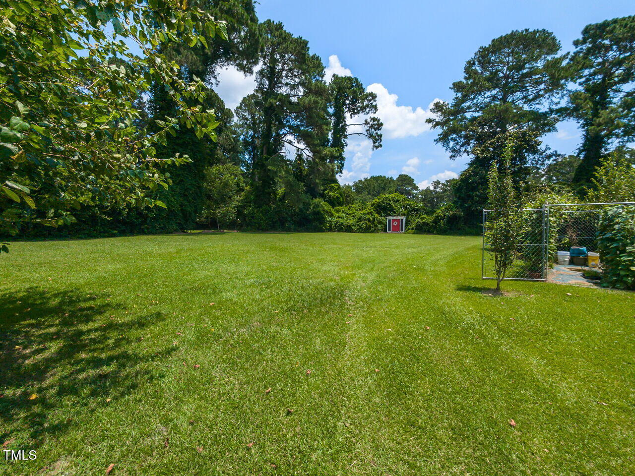 612 College Street Clinton, NC 28328 - Photo 38 of 70 036-1280x960-backyard
