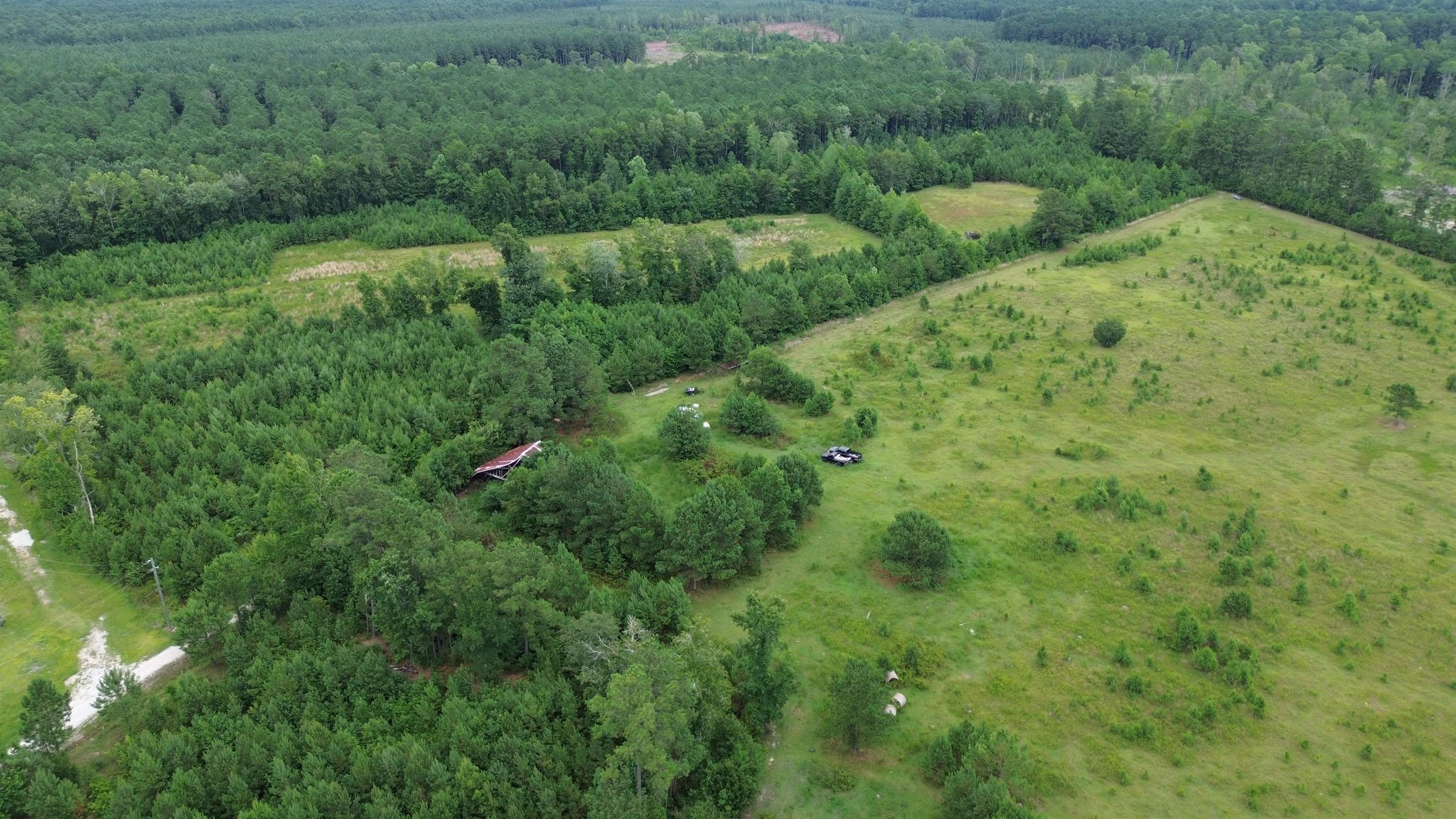 Mt Olive Church Road Green Sea, SC 29545 - Photo 2 of 5