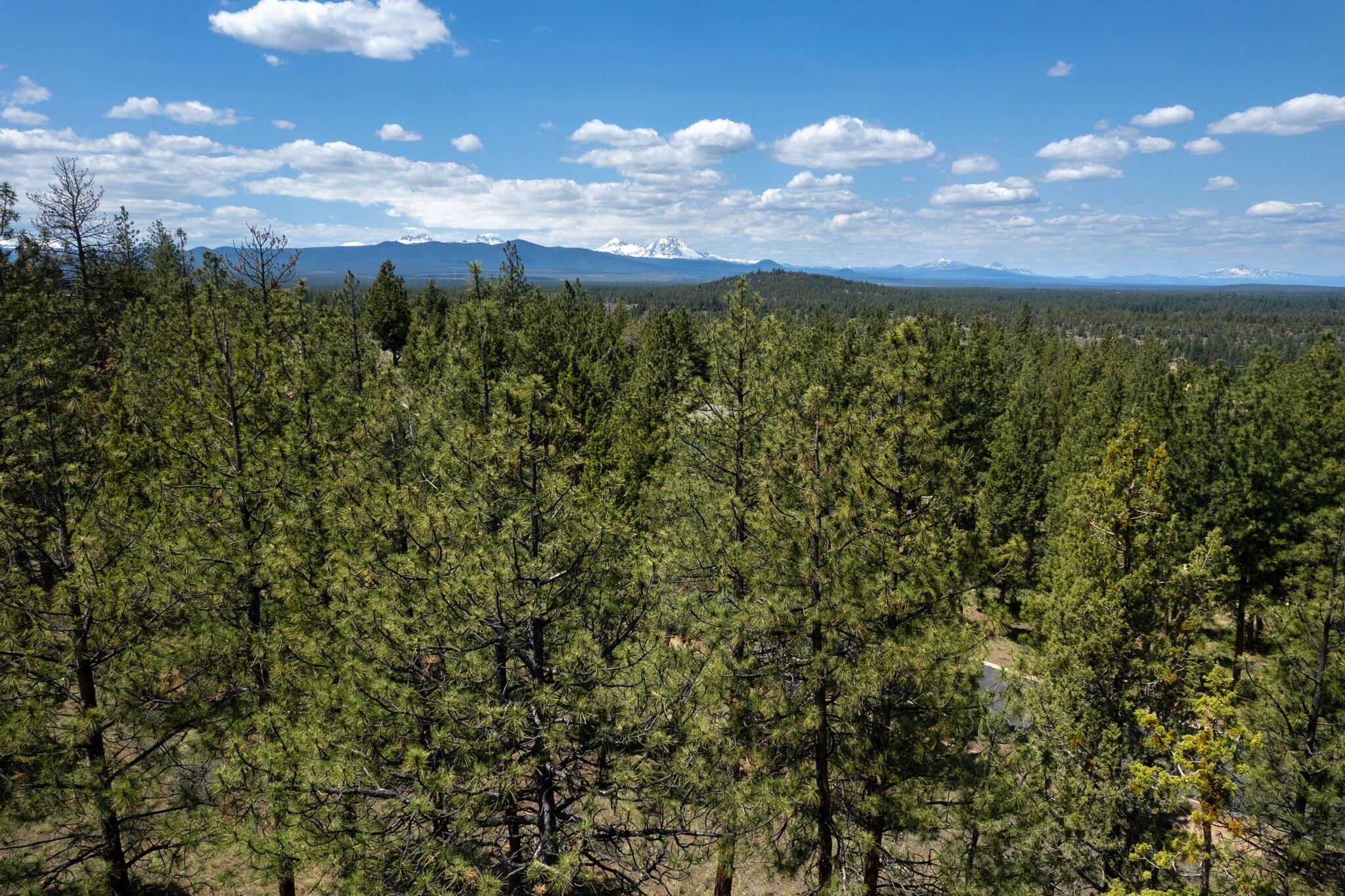 1790 Northwest Wild Rye Circle, Unit 10 Bend, OR 97703 - Photo 2 of 16 Wild Rye Lot 10 (6 of 10)