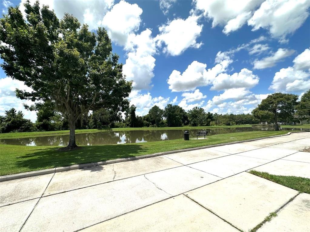 5662 Somersby Road Windermere, FL 34786 - Photo 10 of 11