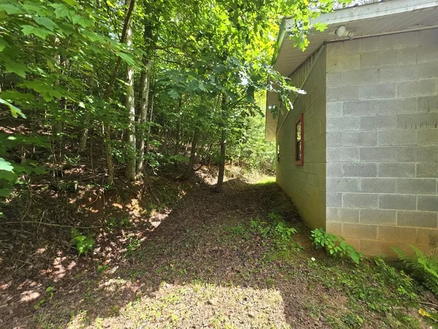 a backyard of a house with lots of green space