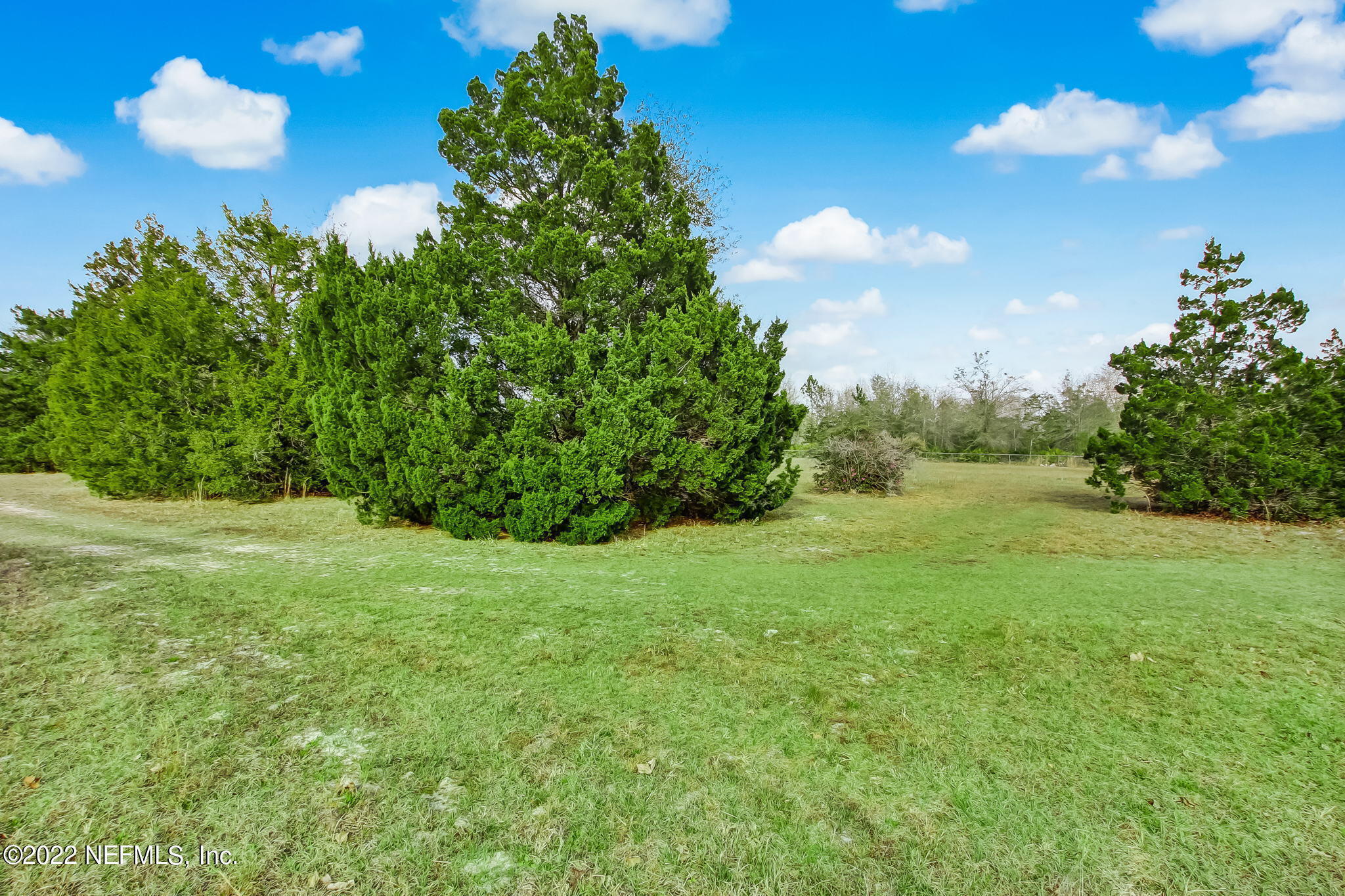 5665 Maverick Road Middleburg, FL 32068 - Photo 34 of 46 Front Yard