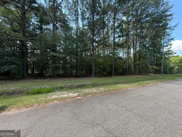 $80,000 | 0 Fairway Lane, Hawkinsville, GA 31036