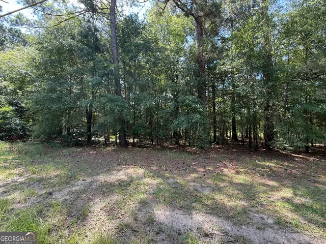 $80,000 | 0 Fairway Lane, Hawkinsville, GA 31036
