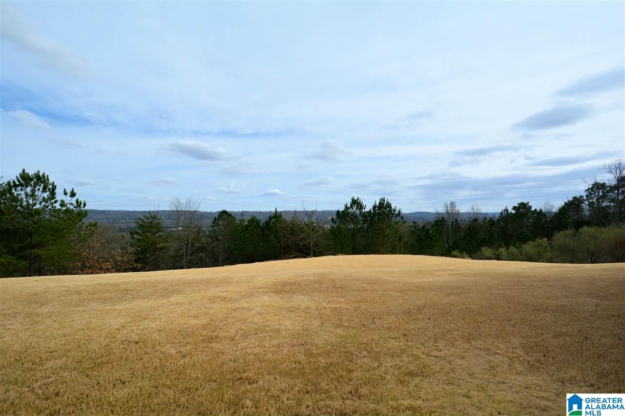 4147 Somerset Ridge Birmingham, AL 35242 - Photo 38 of 47