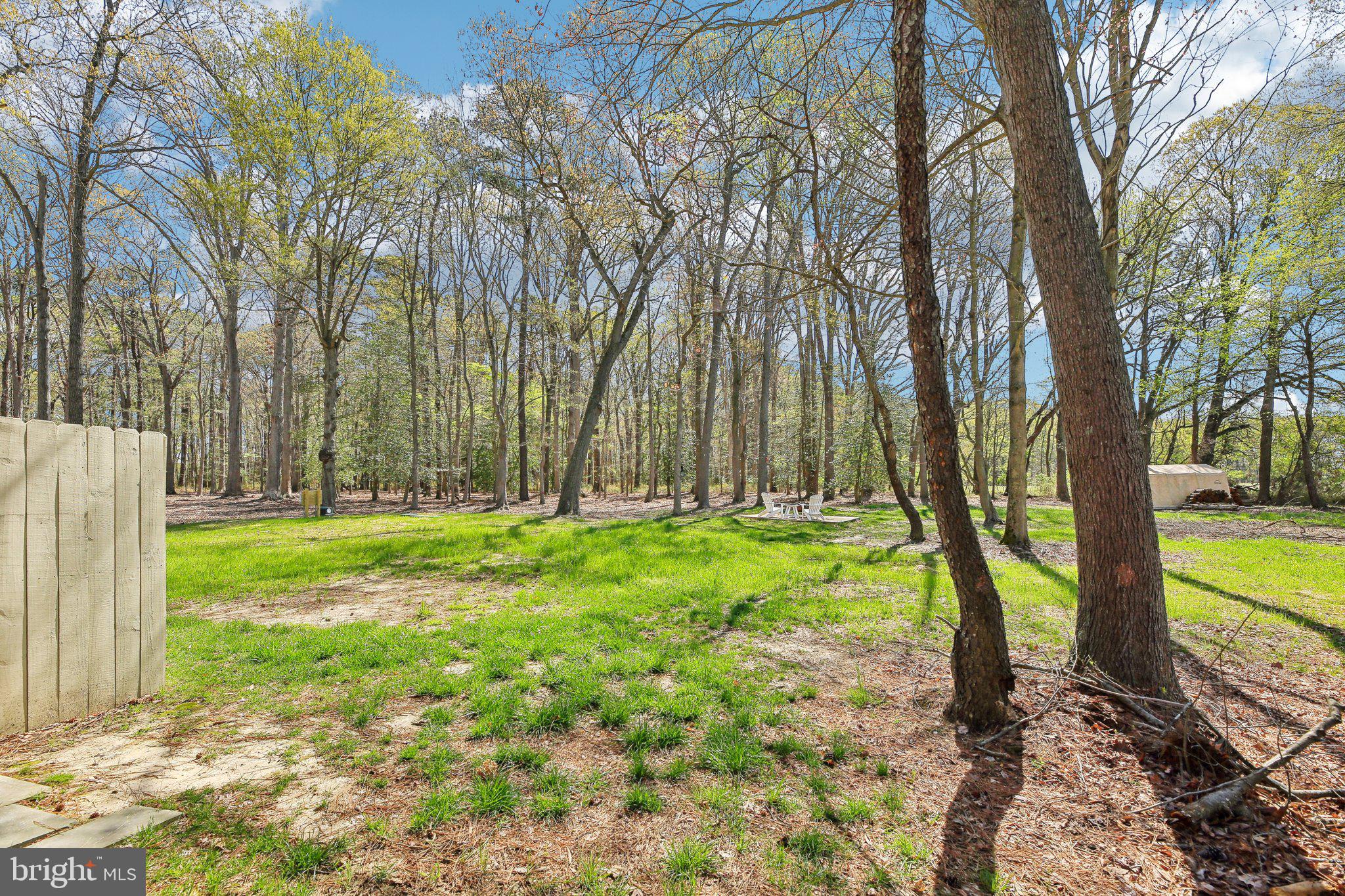 5179 Quaker Neck Road Chestertown, MD 21620 - Photo 28 of 48 a view of backyard with tree