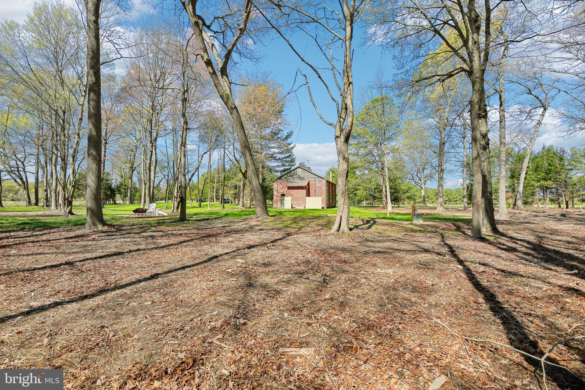 5179 Quaker Neck Road Chestertown, MD 21620 - Photo 29 of 48 a view of road and trees