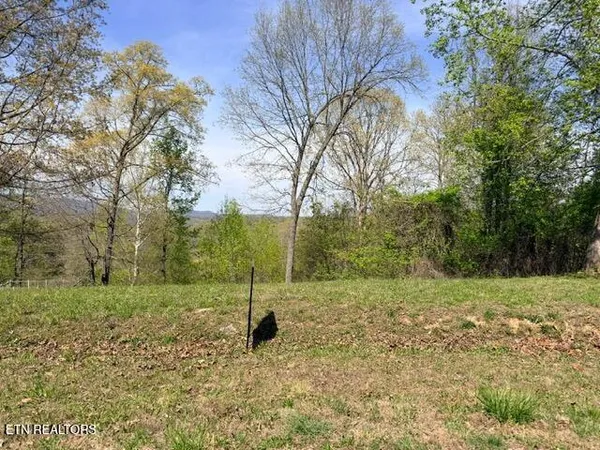 $12,500 | Lot 74 Saddle Ridge Drive, Speedwell, TN 37870