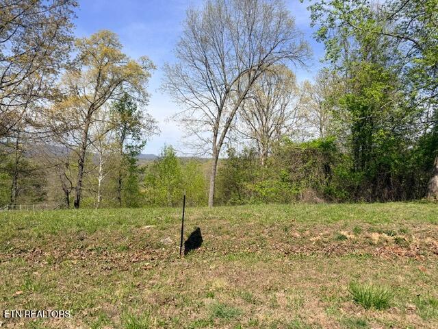 Lot 74 Saddle Ridge Drive Speedwell, TN 37870 - Photo 1 of 22 IMG_1920