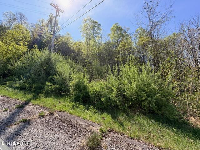 Lot 74 Saddle Ridge Drive Speedwell, TN 37870 - Photo 11 of 22 IMG_1929
