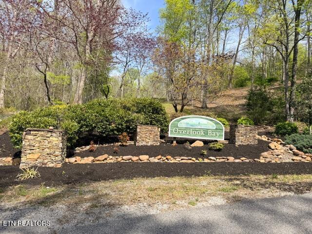 Lot 74 Saddle Ridge Drive Speedwell, TN 37870 - Photo 14 of 22 IMG_1886