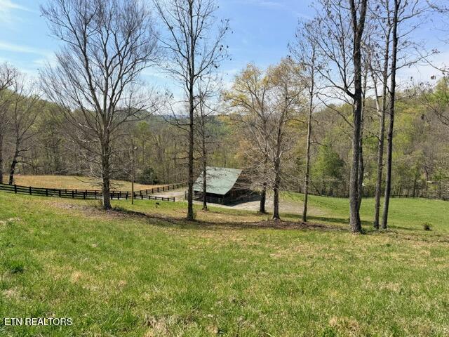 Lot 74 Saddle Ridge Drive Speedwell, TN 37870 - Photo 16 of 22 IMG_1888