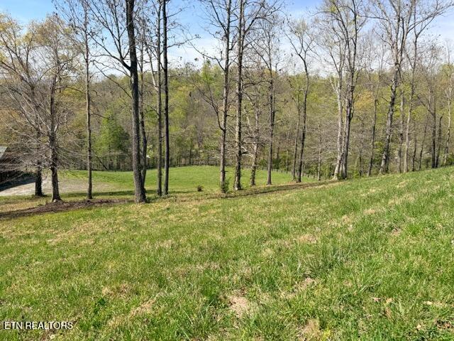 Lot 74 Saddle Ridge Drive Speedwell, TN 37870 - Photo 17 of 22 IMG_1889