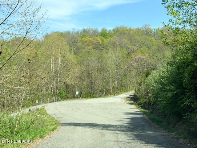 Lot 74 Saddle Ridge Drive Speedwell, TN 37870 - Photo 18 of 22 IMG_1902