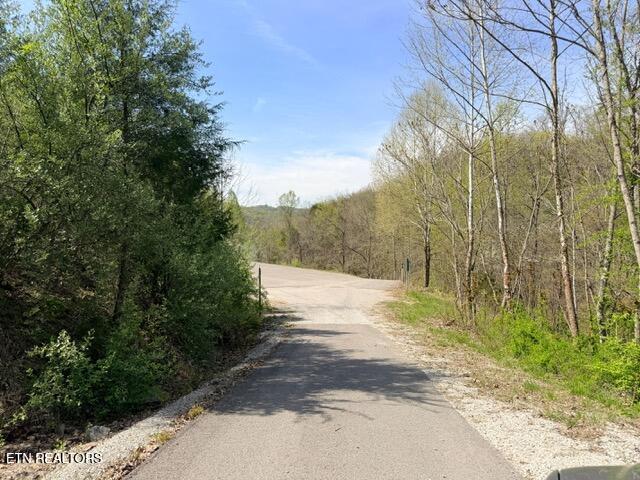 Lot 74 Saddle Ridge Drive Speedwell, TN 37870 - Photo 19 of 22 IMG_1905