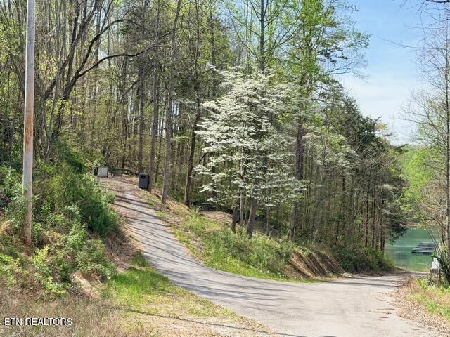 Lot 74 Saddle Ridge Drive Speedwell, TN 37870 - Photo 20 of 22 IMG_1909