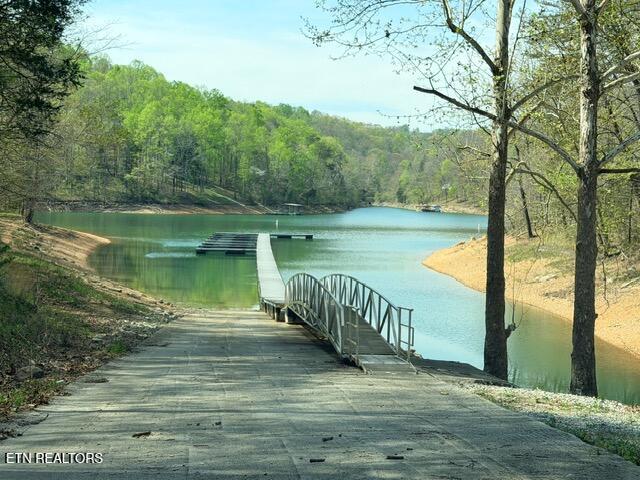 Lot 74 Saddle Ridge Drive Speedwell, TN 37870 - Photo 22 of 22 IMG_1912
