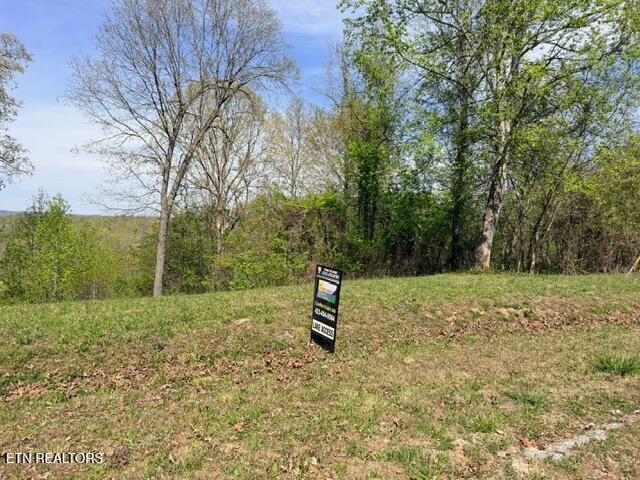 Lot 74 Saddle Ridge Drive Speedwell, TN 37870 - Photo 4 of 22 IMG_1919