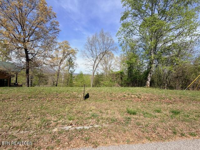 Lot 74 Saddle Ridge Drive Speedwell, TN 37870 - Photo 5 of 22 IMG_1921