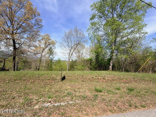 Lot 74 Saddle Ridge Drive Speedwell, TN 37870 - Photo 6 of 22 IMG_1922