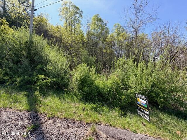 Lot 74 Saddle Ridge Drive Speedwell, TN 37870 - Photo 10 of 22 IMG_1928