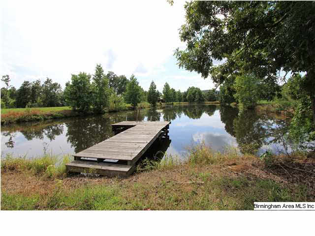 749 Dove Welch Road Wellington, AL 36279 - Photo 26 of 32