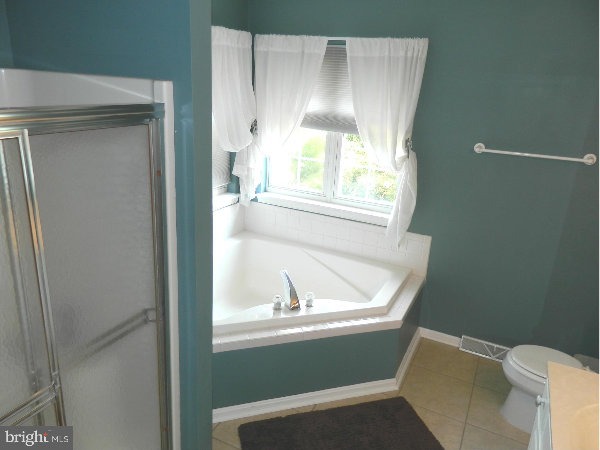 4517 Summer Ridge Court Mount Airy, MD 21771 - Photo 14 of 30 Bath (Master)