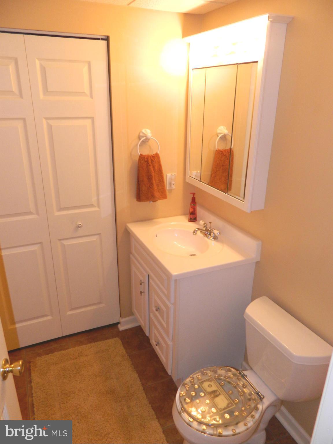 4517 Summer Ridge Court Mount Airy, MD 21771 - Photo 23 of 30 LL Bath