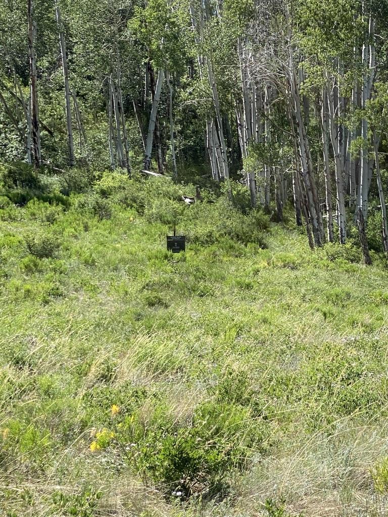 7 Porcupine Road Placerville, CO 81430 - Photo 11 of 12 homesite a