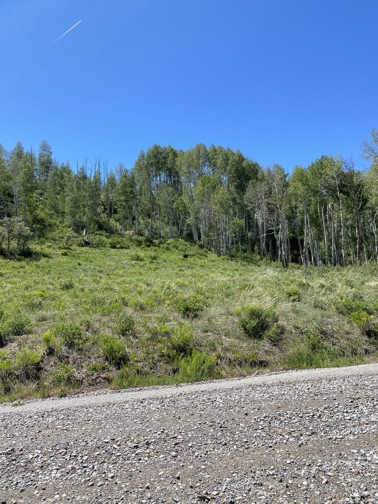 7 Porcupine Road Placerville, CO 81430 - Photo 10 of 12 Home Site