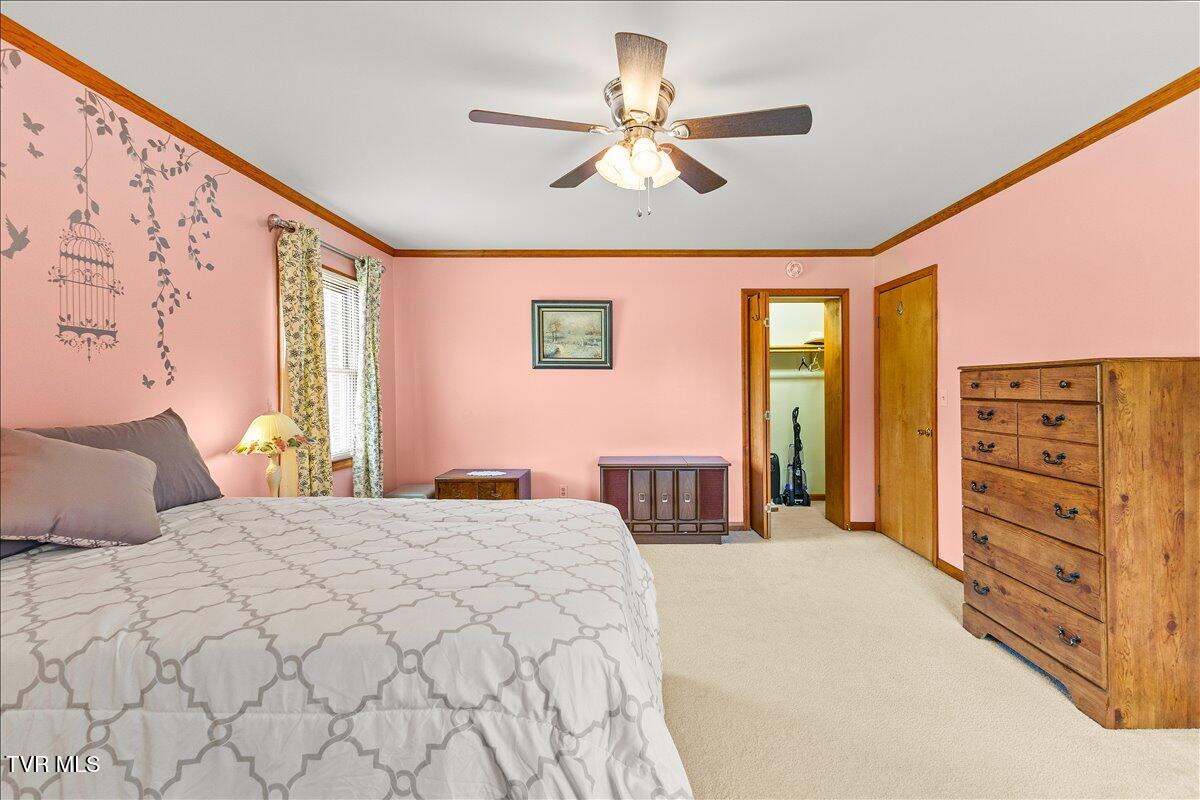 7275 Erwin Highway Chuckey, TN 37641 - Photo 20 of 43 23-128A1553