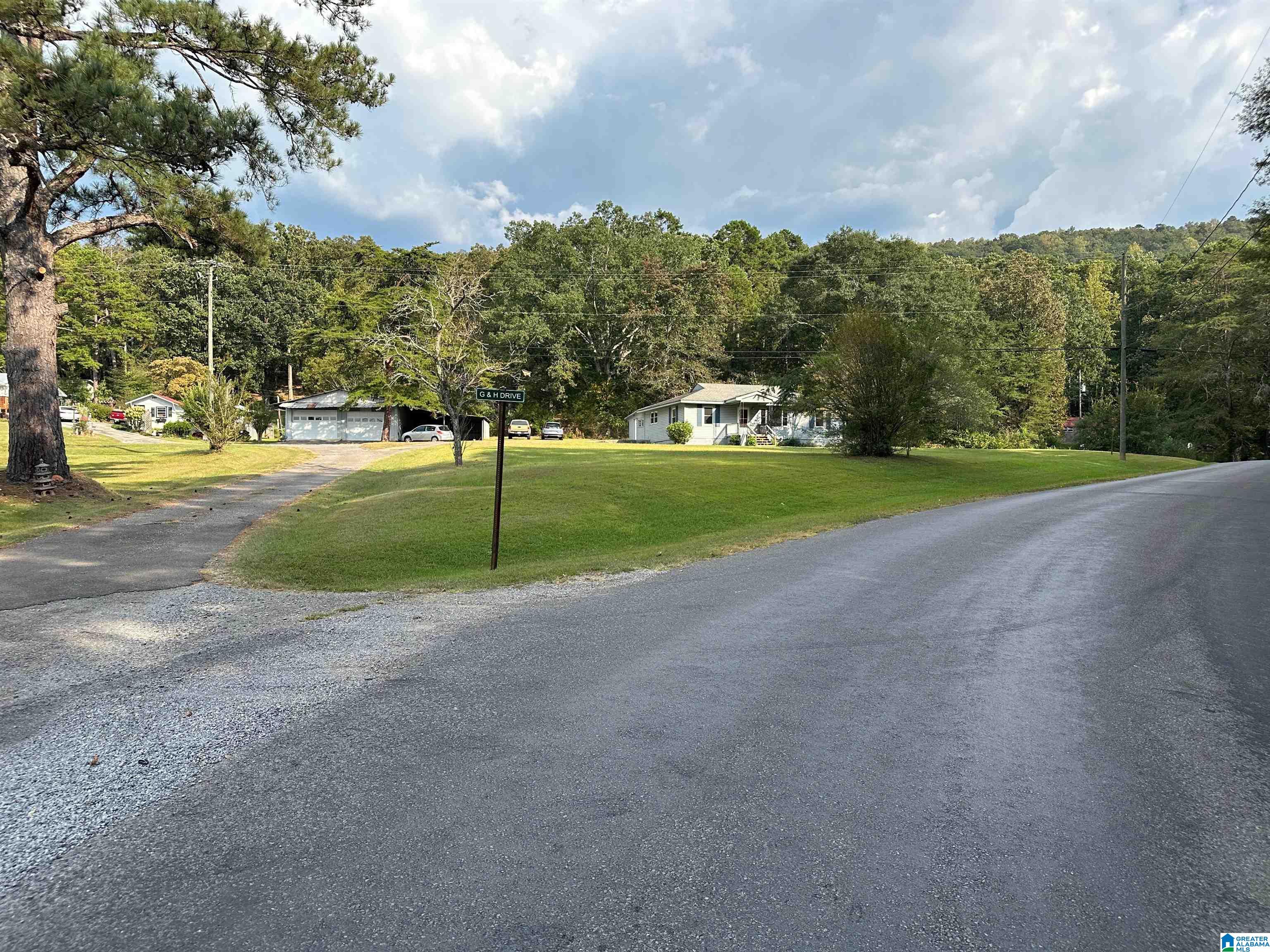 493 Pine Mountain Road Remlap, AL 35133 - Photo 2 of 42