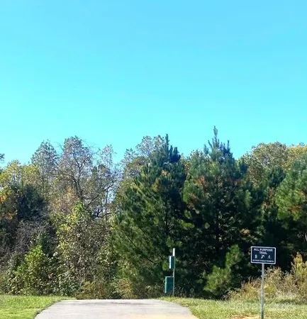 a view of a bunch of trees in a background