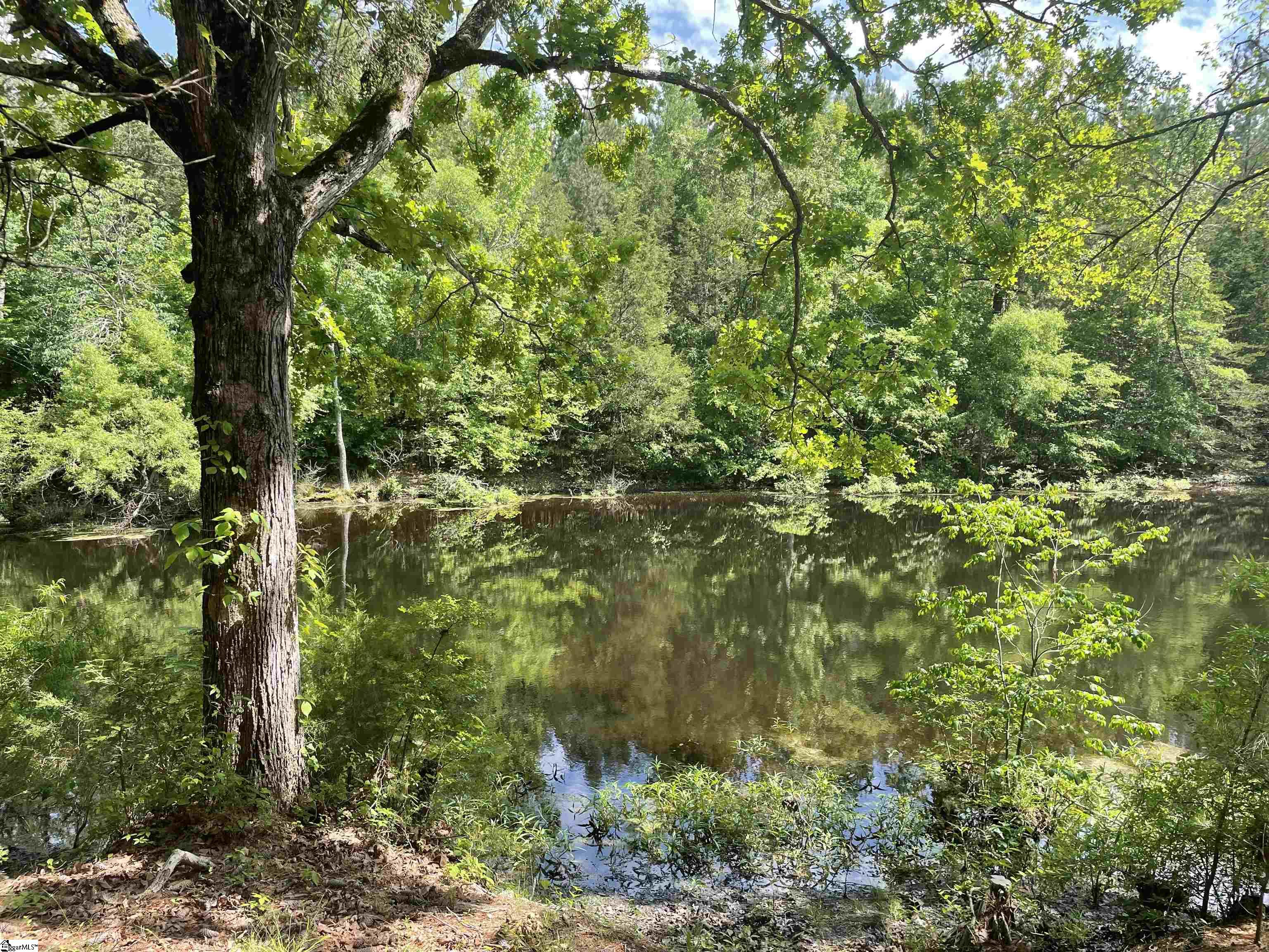 3864 Lincoln Road Gray Court, SC 29645 - Photo 2 of 30 Gallery Image 2