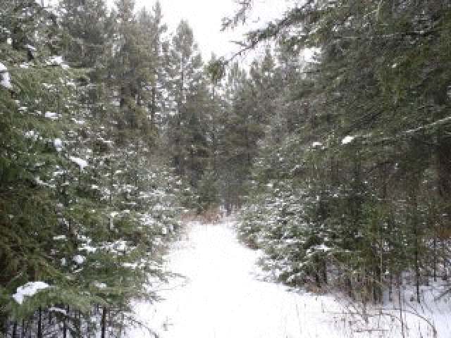 W10836 Cth Road Phillips, WI 54555 - Photo 9 of 10 Gallery Image 9