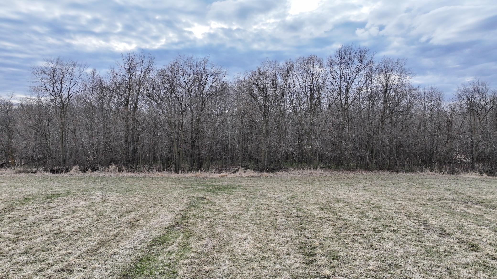 2955 Nelson Road Independence, MN 55328 - Photo 5 of 11