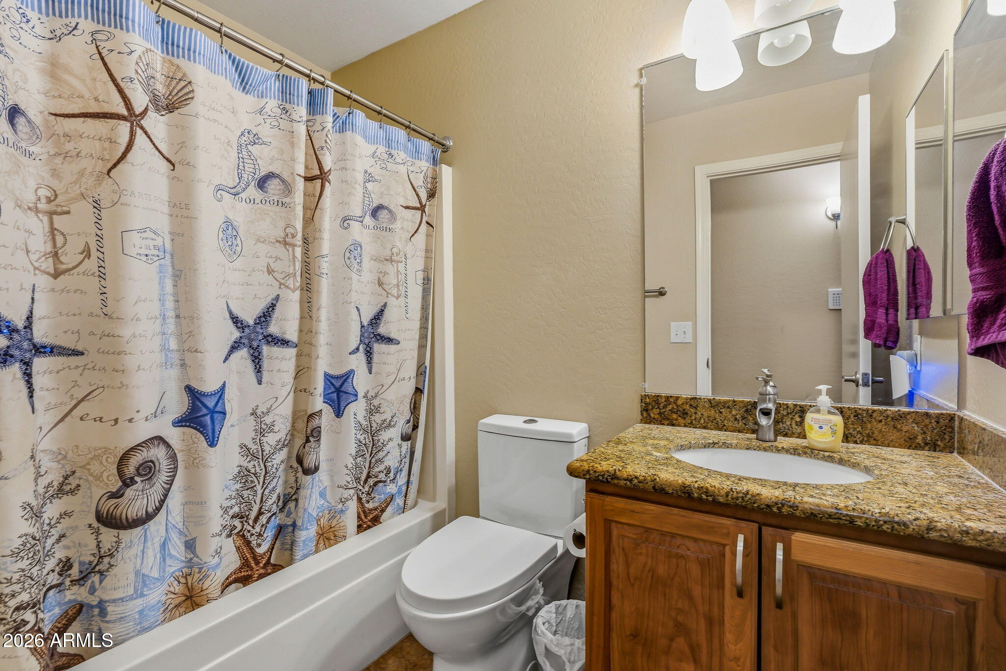 15843 West Washington Street Goodyear, AZ 85338 - Photo 20 of 39 a bathroom with a granite countertop sink a toilet and a mirror