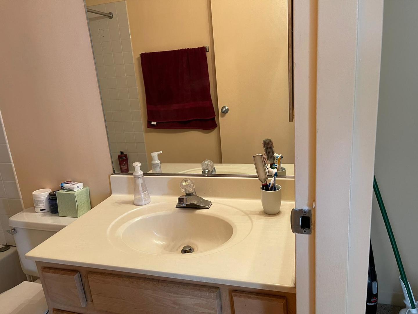 200 North Dearborn Street, Unit 1901 Chicago, IL 60601 - Photo 12 of 24 a bathroom with a sink and a mirror