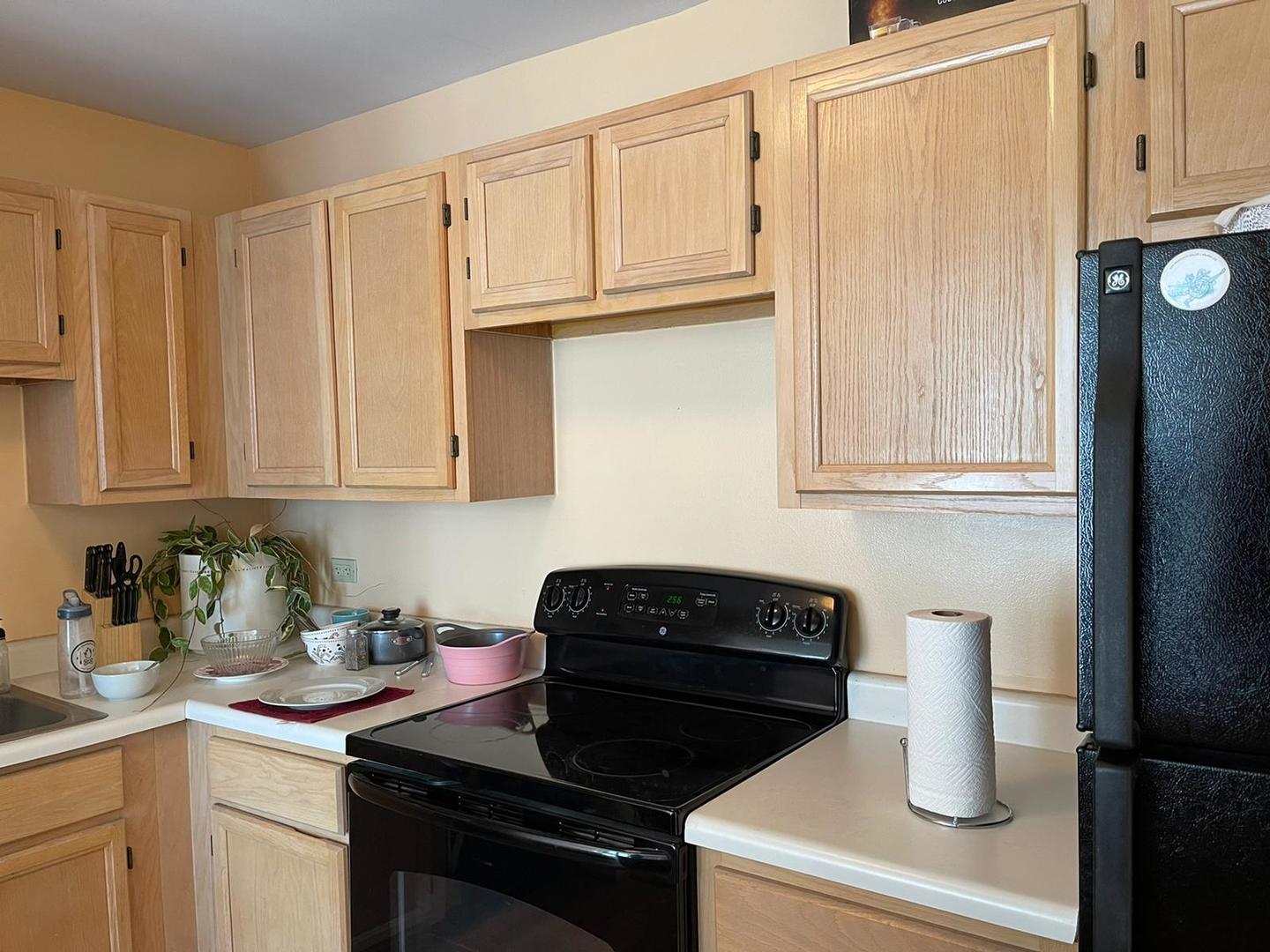200 North Dearborn Street, Unit 1901 Chicago, IL 60601 - Photo 5 of 24 a kitchen with a sink and cabinets