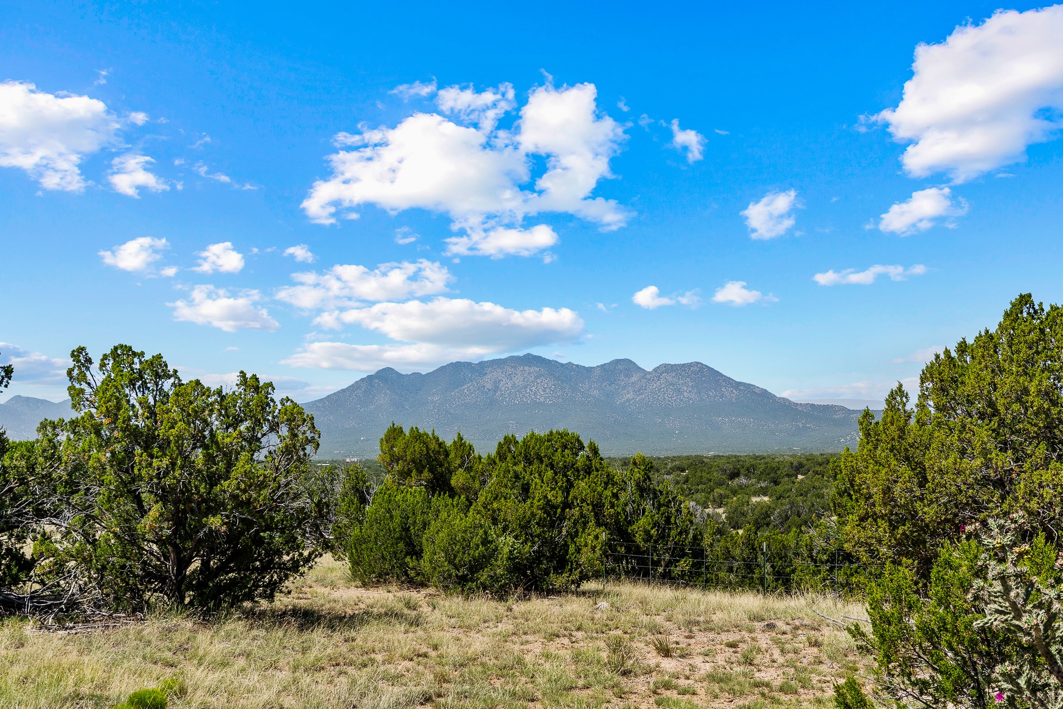 49-65 Blue Agave/grenfell Ranch Cerrillos, NM 87010 - Photo 6 of 36